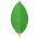 MongoDB