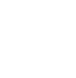 Icon von ChatGPT