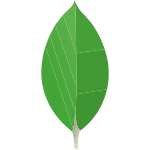 Icon von MongoDB